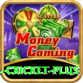 all cricket Games VIP