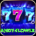 andy flower Mobile Pro