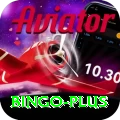 bingo - King v5.2.1