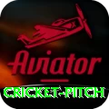 cricket pitch Mega - Casino & Slots