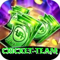 cricket team Casino VIP v1.5.3
