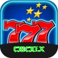 crickex - Plus Earning App