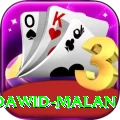 dawid malan - VIP Edition v5.5.0