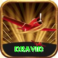 dravid Live Casino Champion