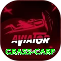 grass carp Bonus Deluxe v1.6.2