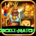 india pakistan cricket match Game Premium v1.2.6