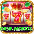 morne morkel - Pro Earning App
