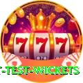 most test wickets Earn Mega v3.6.4