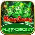 play cricket Mega New