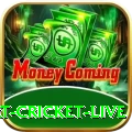 smart cricket live Official v1.3.1