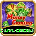smartcric live cricket - Casino Royal