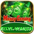 steve waugh Champion PK v1.7.2