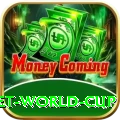 under 19 cricket world cup Master APK v1.2.9