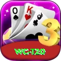 wc t20 Mega Slots