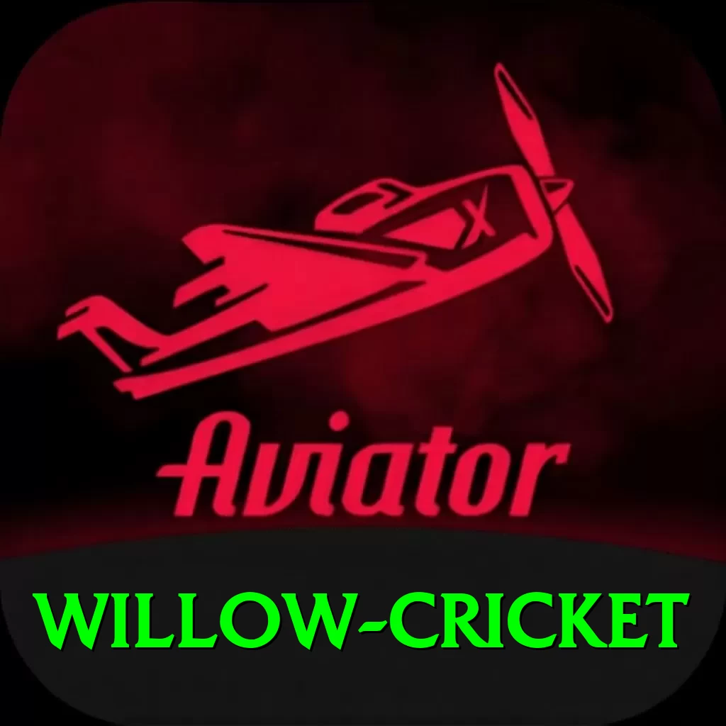 willow cricket Game Prime v3.7.6 - 2